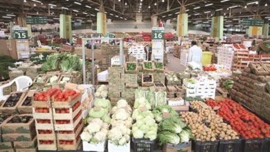 الكشتي: قرار وزير الشؤون لدعم المنتج الزراعي المحلي جريء وسيحمي المستهلكين