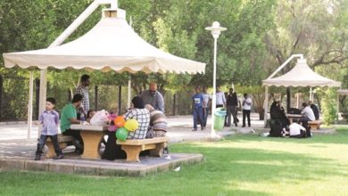 رؤساء جمعيات: نقل إدارة الحدائق للتعاونيات سيخفف التكاليف على الدولة