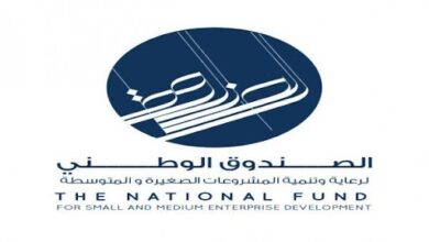 صندوق المشروعات الصغيرة والمتوسطة في عهدة وزير الدولة لشؤون الشباب